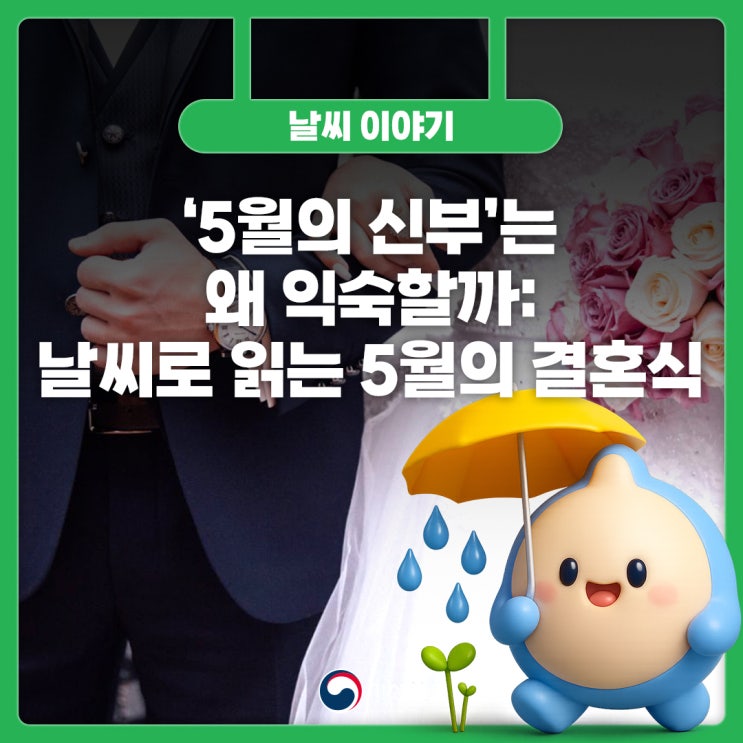 5월의 신부 관련 이미지
