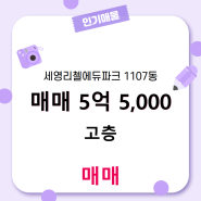 새솔동 세영리첼에듀파크 아파트 1107동 110.54㎡/84.88㎡ 매매 (고층)