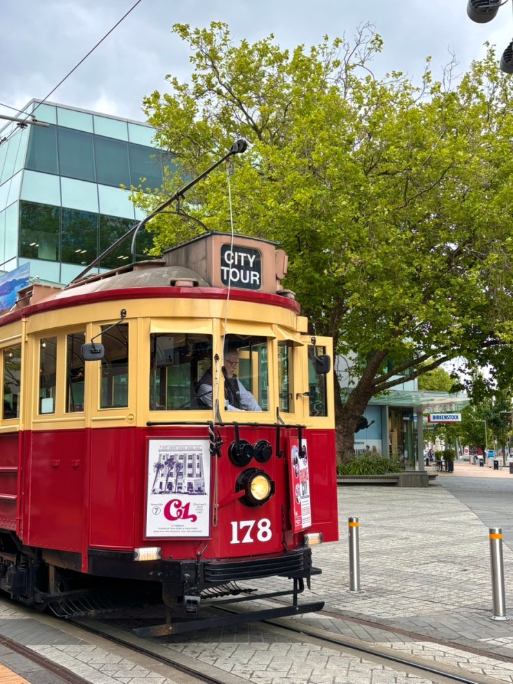 [뉴질랜드 로그] 뉴질랜드 | Christchurch Day 2  (크라이스트처치 트램역/....