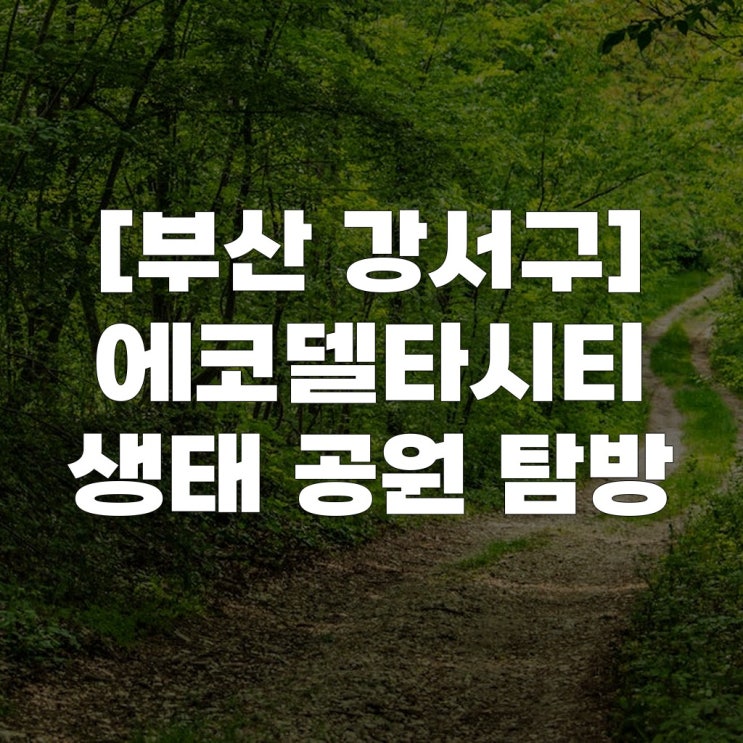 [부산 강서구] 에코델타시티 생태 공원 탐방