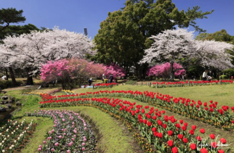 벳푸 공원(別府公園)계절에 따라 변화하는 자연