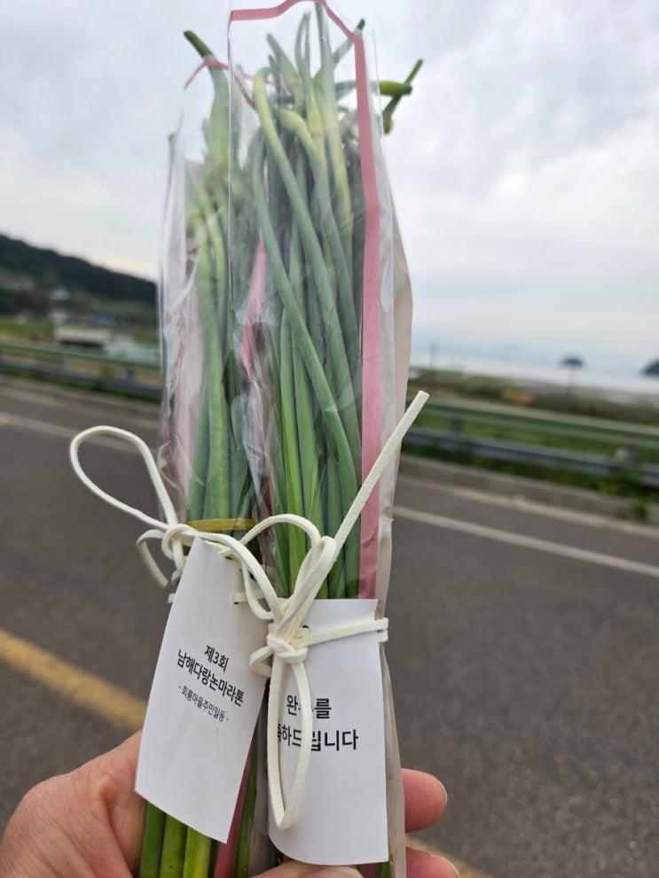 남해 다랑논 마라톤 대회 이모저모 스케치