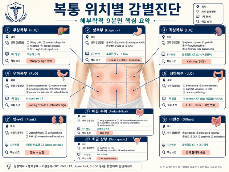 성인 복통 감별진단 — Red flag부터 Alvarado Score(acute appendicitis DDx) 까지 임상의를 ...