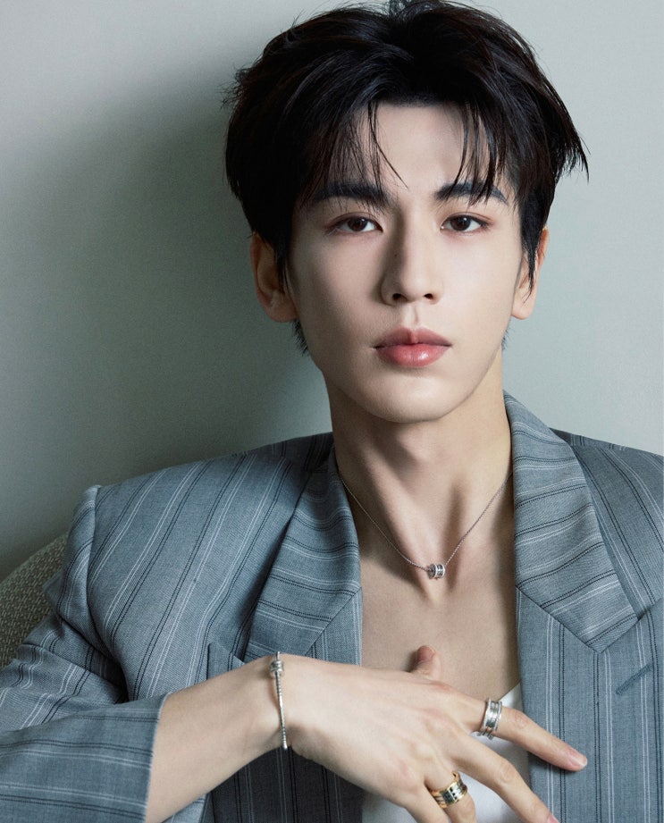 🤵‍♂️🕴️과로로 쓰러진 그날, 3대 관영 매체가 오히려 장릉혁을 주목한 이유 (ft. 불가리 앰배서더) : 네이버 블로그