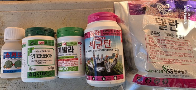 링크 미리보기