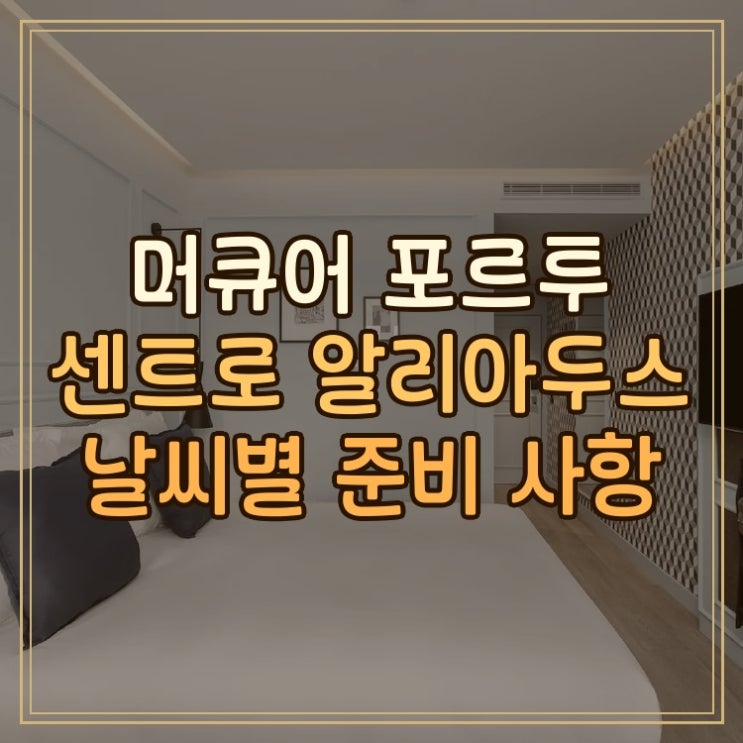 머큐어 포르투 센트로 알리아두스 여행 날씨별 준비 사항 정리