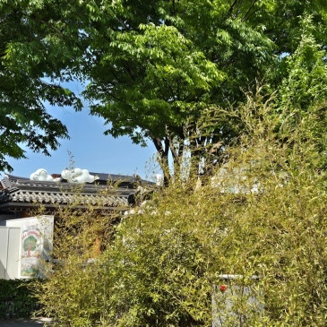 내일 일은 내일 생각합시다. RSS 대표 이미지