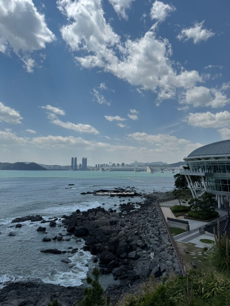 [부산여행] 해운대 산책 데이트 추천 무료 명소 '동백섬' 방문 솔직 ....