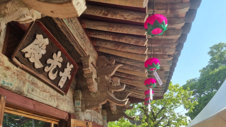 경주가볼만한곳 분황사 모전석탑 황룡사지 청보리밭 부처님오신날