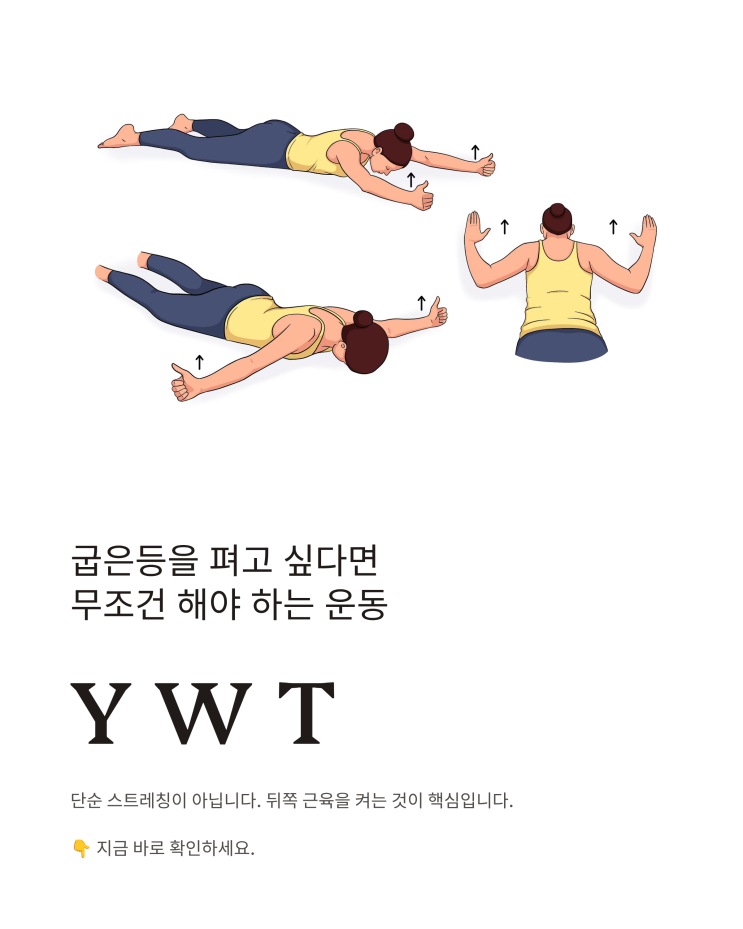 굽은등을 펴려면 YWT 운동을 꼭 기억하세요 : 네이버 블로그