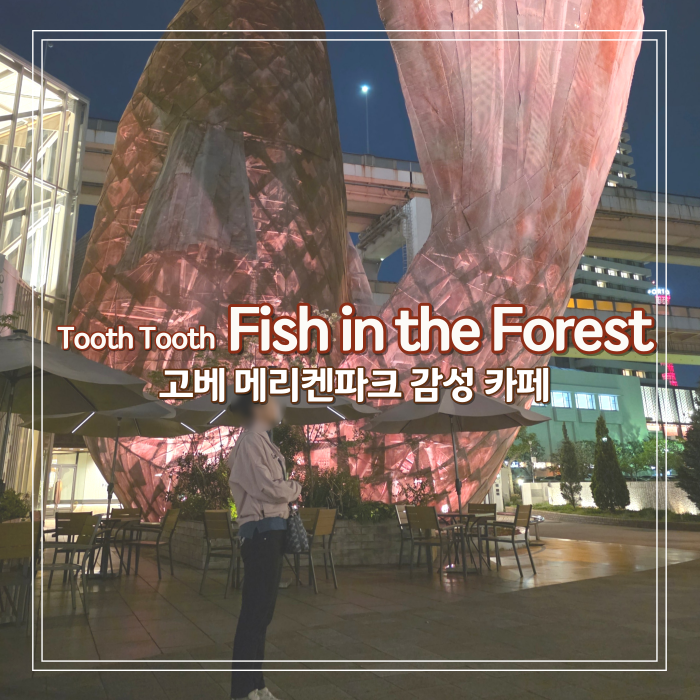 고베 메리켄파크 감성 카페 추천 / Tooth Tooth Fish in the forest