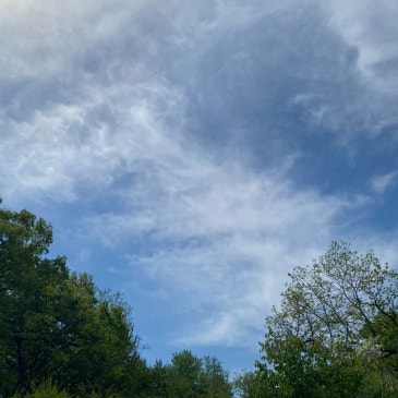 피츄, 피카츄, 라이츄 RSS 대표 이미지