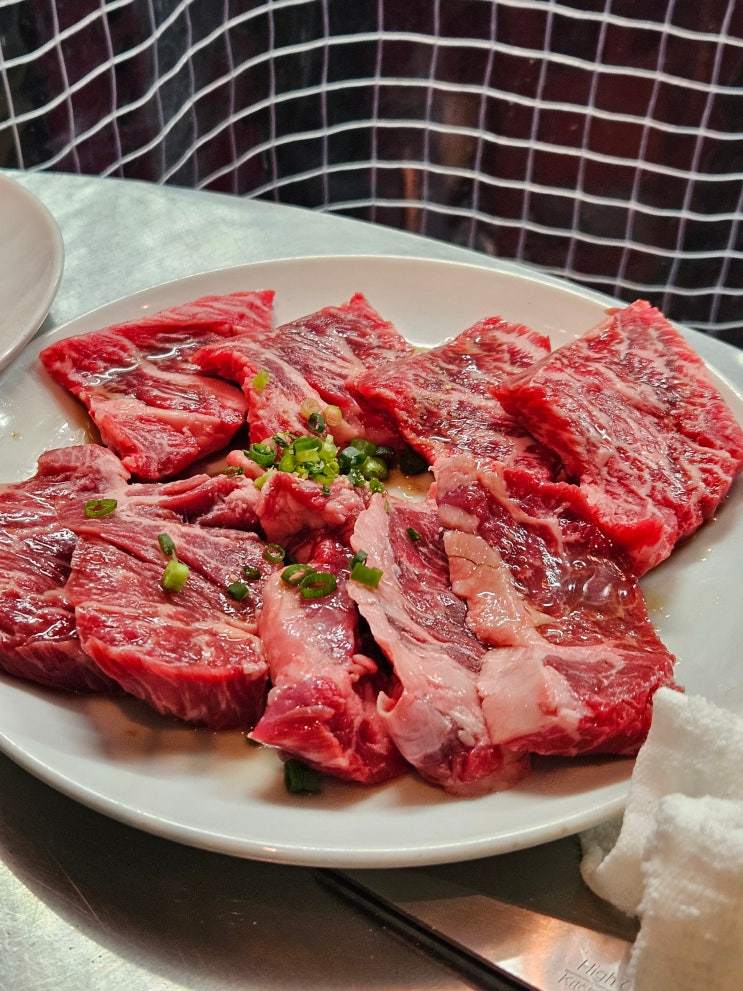 오사카 야키니쿠 맛집_ 난바 스미비야키 호르몬 카라카라테이
