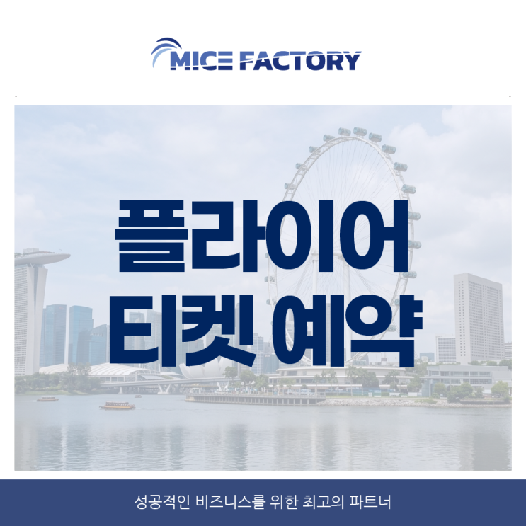 플라이어 티켓 예약 싱가포르 플라이어 가격·꿀팁·포토존