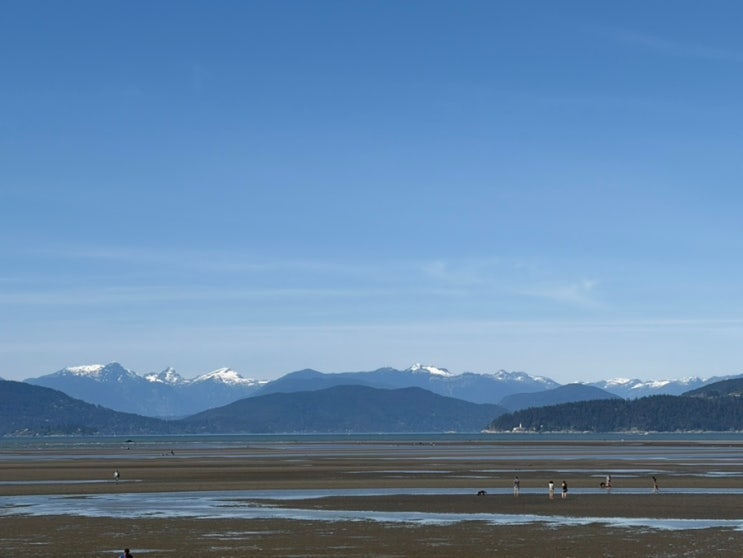 UBC 스페니시 뱅크스 비치(Spanish Banks Beach)