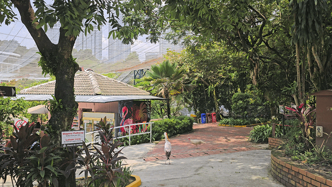 쿠알라룸푸르 새공원(KL Bird Park)  입장료 이용후기