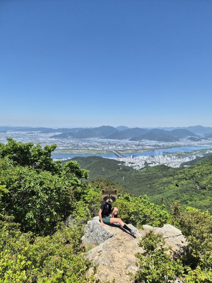 2026 BUSAN 50K 부산50k 12k코스 간략 후기