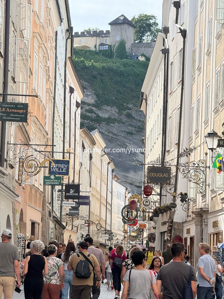 [잘츠부르크]  모차르트의 도시로 ✨ : arte Hotel Salzburg, 잘츠부르크 ....