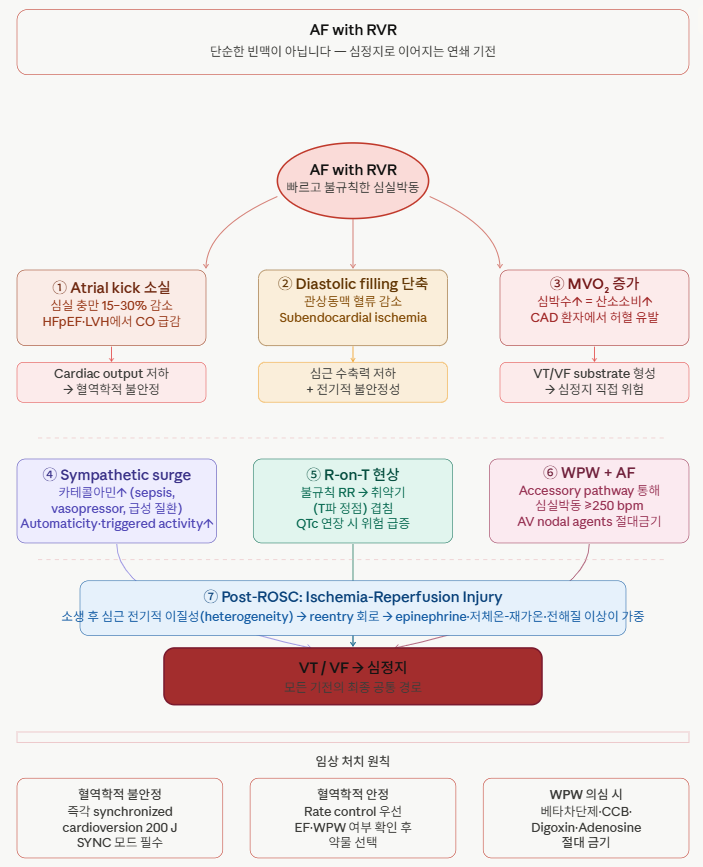 ACLS와 부정맥 관리: AF with RVR이 심정지로 이어지는 기전과 처치 : 네이버 블로그