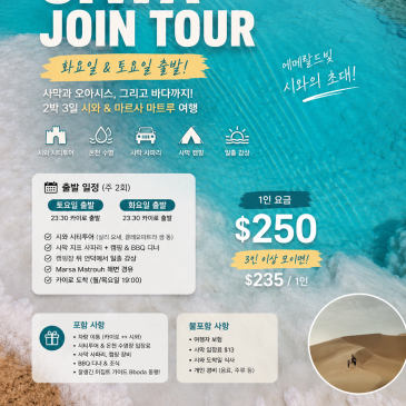 혼자 이집트 왔는데 시와 사막 못 갈까봐 걱정했어요매주 토 · 화 출발 조인투어가 있었어요 ️사막 캠핑 + BBQ + 일출 + 지중해 바다 — 2박 3일에 다 가능해요