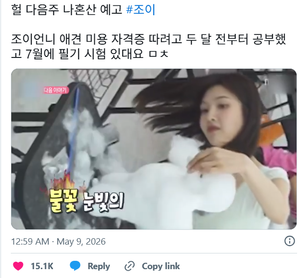 애견 미용사 준비하는 레드벨벳 조이 데뷔 13년차인데 제 2의...
