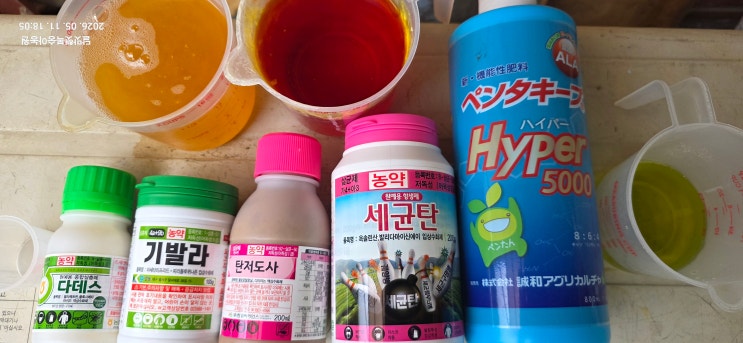 링크 미리보기