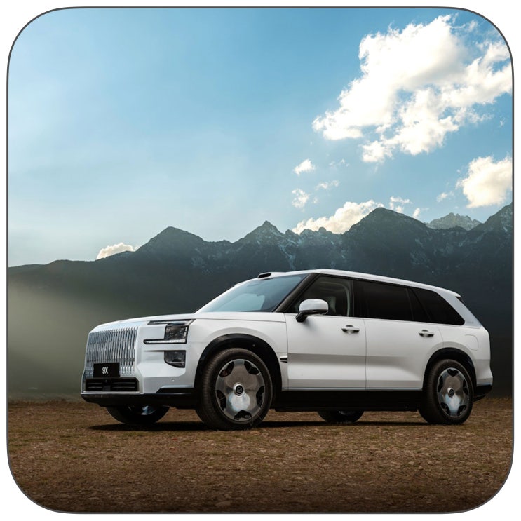 지커 9X 하이브리드 SUV, 전기차 SUV와 PHEV 사이에서 볼 점