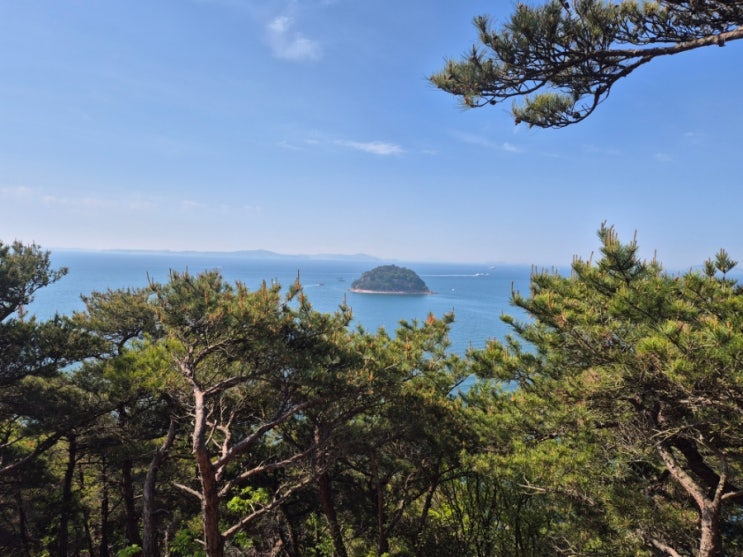 2026 무의도 구석구석 국제 트레일런 대회 후기🏃‍♀️⛰️🏖