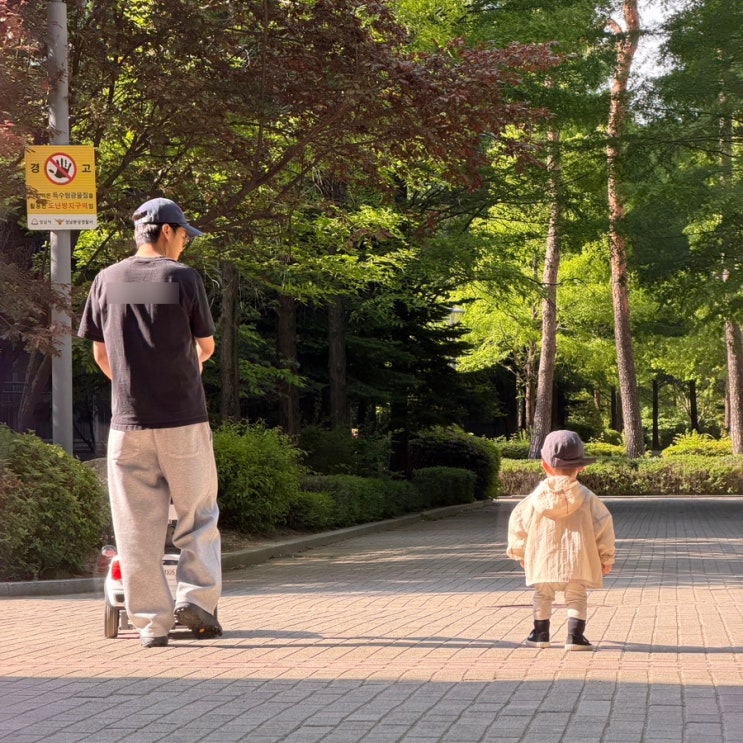 5월 2주. 보복적 수면지연