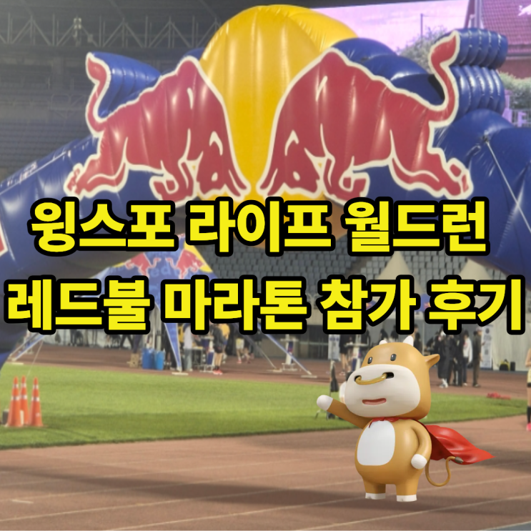 레드불 마라톤 전 세계 함께 달리는 윙스포 라이프 월드 런 후기