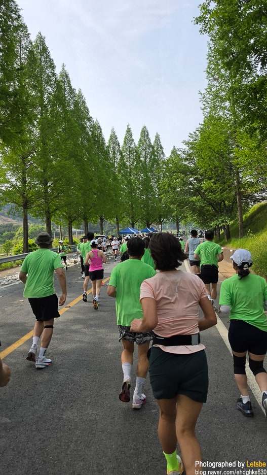 2026 서울하프마라톤 및 보성녹차마라톤 하프코스 완주 후기