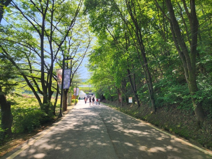 대전 계족산 황토길 선양 마사이 마라톤