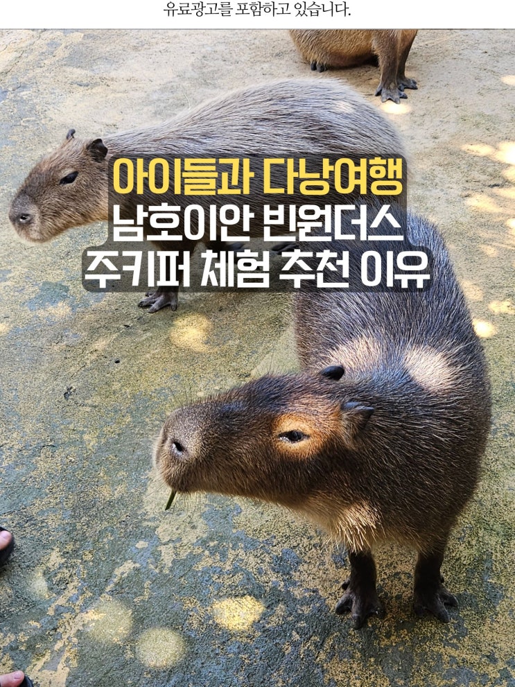 아이들과 다낭 여행 남호이안 빈원더스 주키퍼 체험 추천 이유