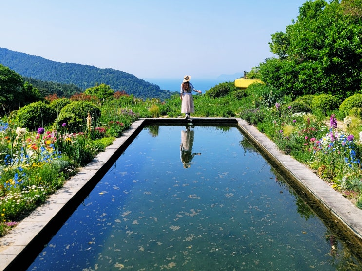 남해 5월 6월 가볼만한곳 섬이정원 인기 포토존