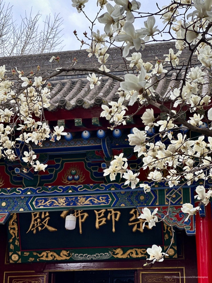 중국 시안 여행_  와룡사 卧龙寺 / 서원문 书院门 / 관중서원 关中书....