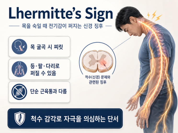 Lhermitte’s Sign, 목을 숙일 때 전기가 흐르는 듯한 척수성 신경 징후 : 네이버 블로그