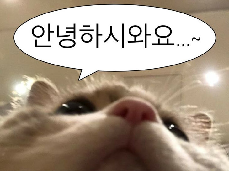 [bugs x team visual] 벅스 팝업 구체적 기획안╰(⊡-⊡)و✎