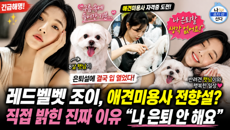 레드벨벳 조이, 햇님이 애견미용사 도전 화제…“은퇴 아니다”...