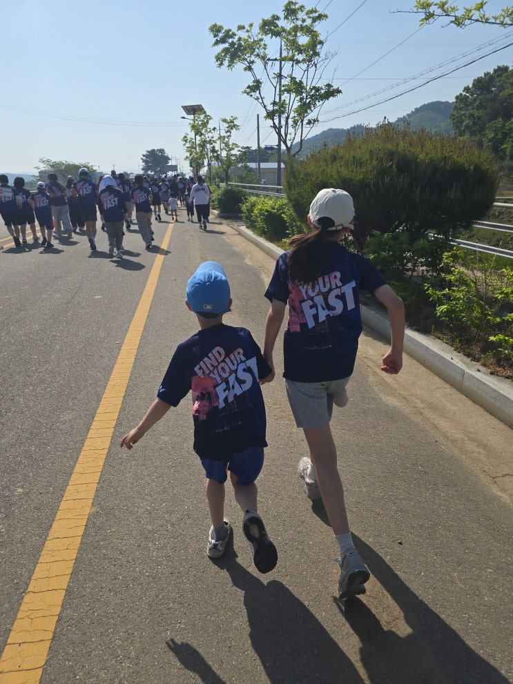[대회 후기] 26년 서천한산모시마라톤 5km 가족런 후기