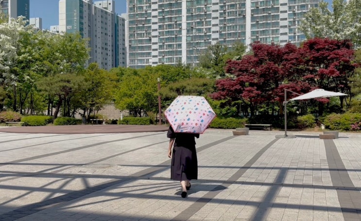 초경량 우양산 추천, 얼모스트블루 암막 우양산 여름 필수템 후기