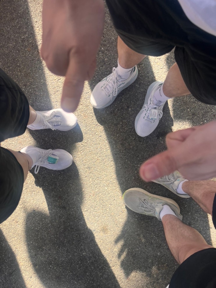 대전 2026 식품안전마라톤 10km 후기