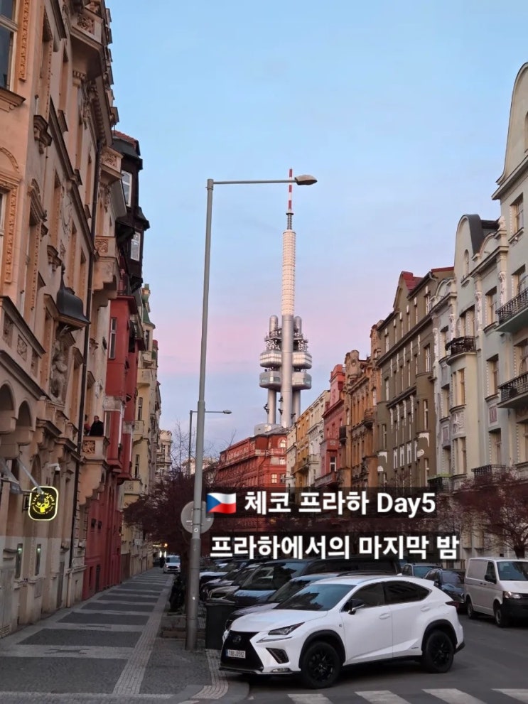 프라하 5박 6일 Day5 | Liberica Cafe, 타쿠미 라멘, 포도밭 전망대, 리에그....