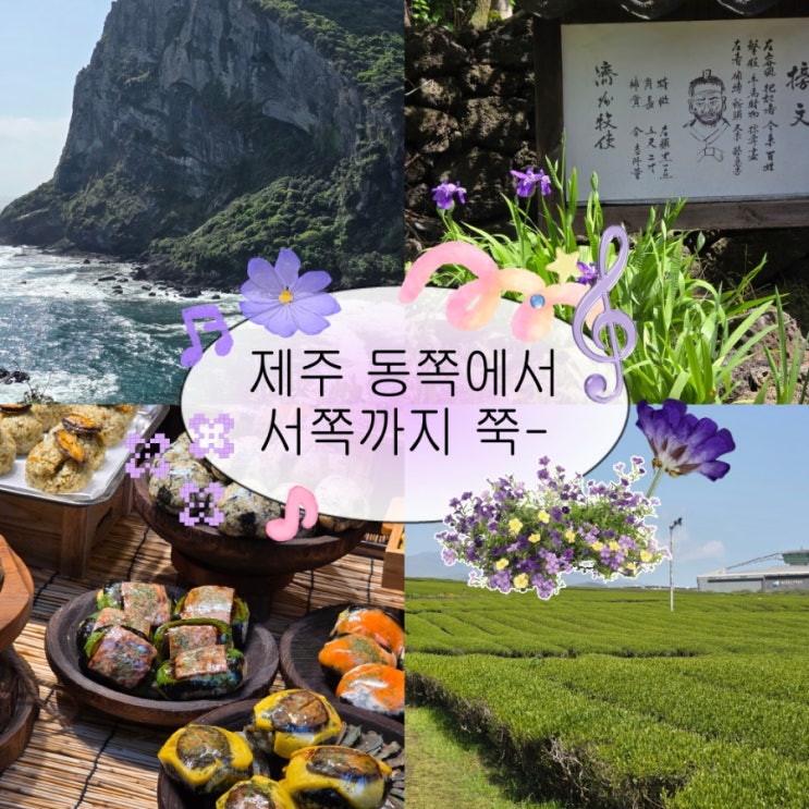 [제주] 2일차 | 하루종일 먹고 마시고 관광한 여행기 (기름떡, 통귤모찌, 오설록 말차 오프레도 등) : 네이버 블로그