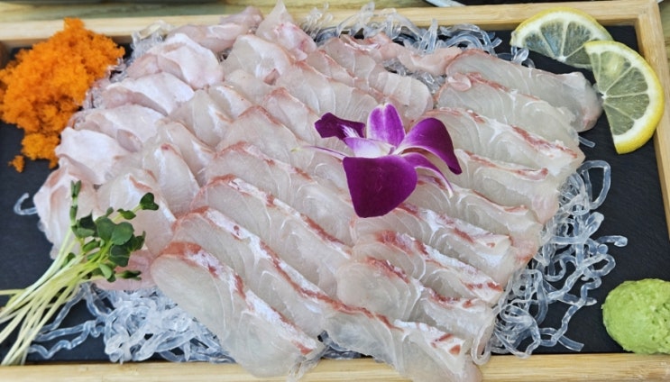 광주 봉선동 횟집 제철회 맛집 : 네이버 블로그