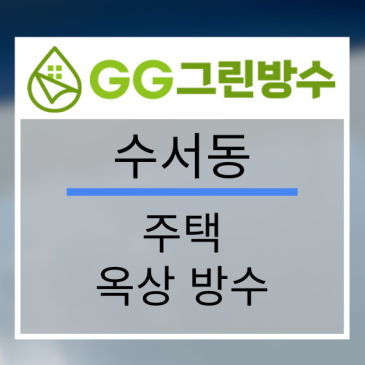 강남구 빌라·다세대주택 옥상 우레탄 방수 현장 시공 사진