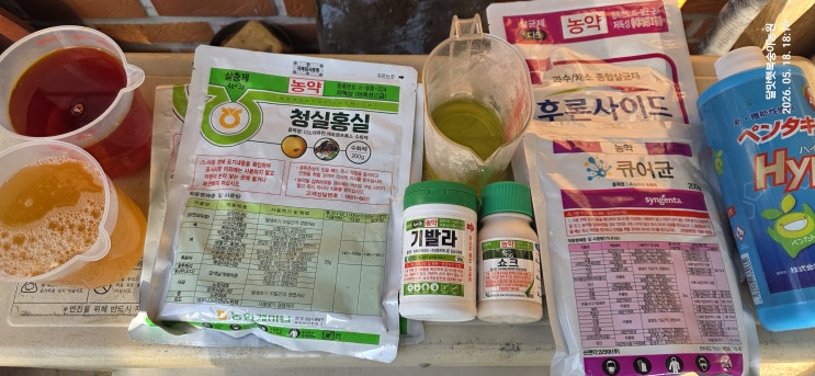 링크 미리보기