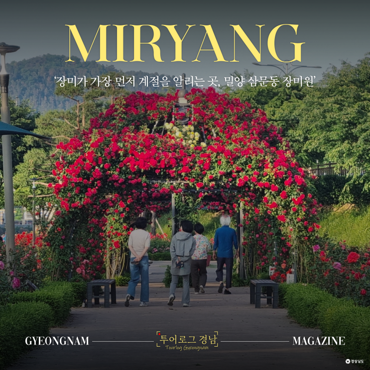 밀양 삼문동 장미원 풍경