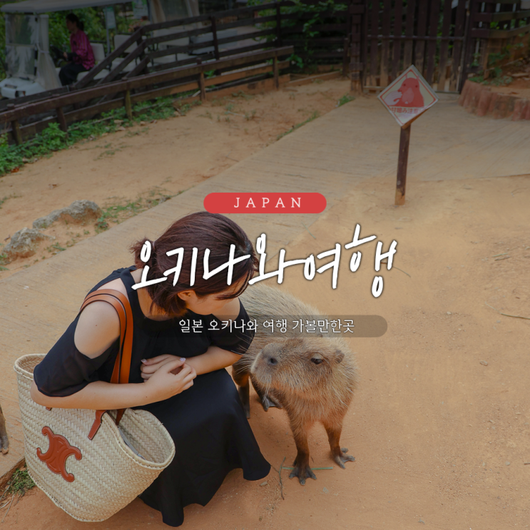 오키나와 여름여행 가볼만한곳 야경까지 예쁜 동남식물낙원