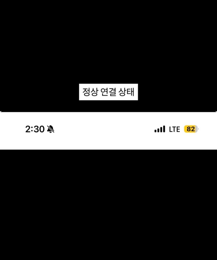 해외여행 이심 사용 후유심인식오류SKT서비스없음해결방법 (아이폰)
