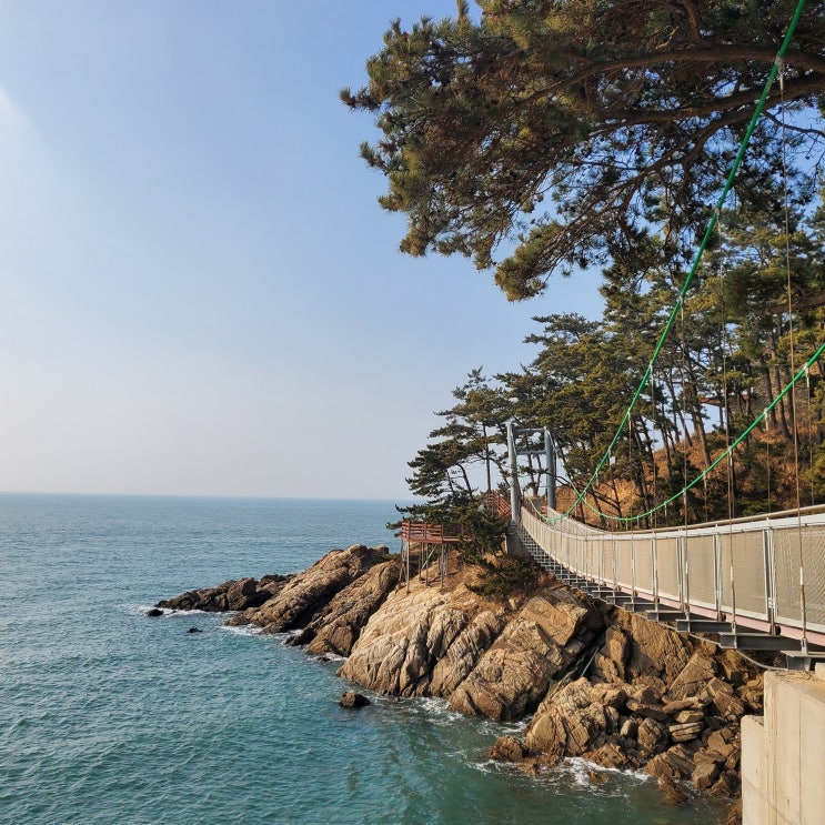 충남 태안 소원면 가볼 만한 곳 (만리포해수욕장, 모항항수산물직판....